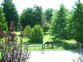 Hotels in Parbayón